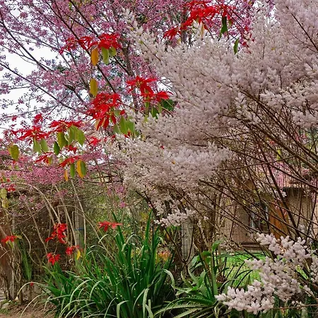 Chale Flores E Amores Visconde De Maua Exterior photo