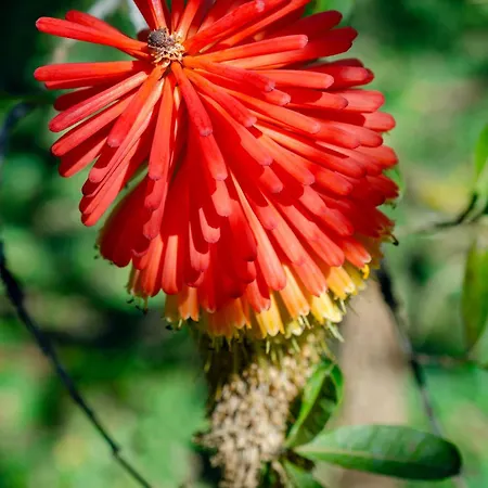 Chale Flores E Amores Visconde De Maua Exterior photo