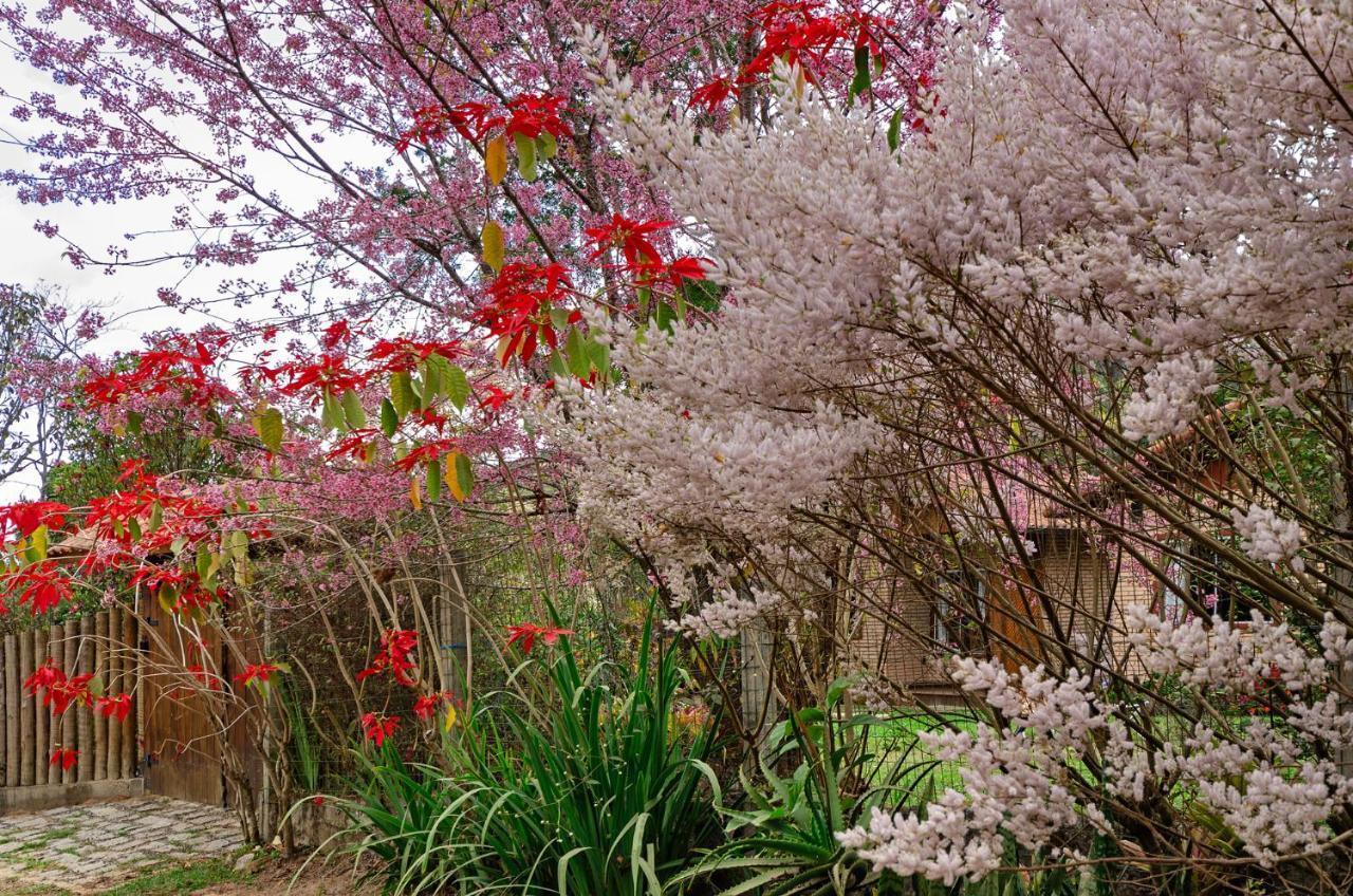 Chalet Chale Flores E Amores *