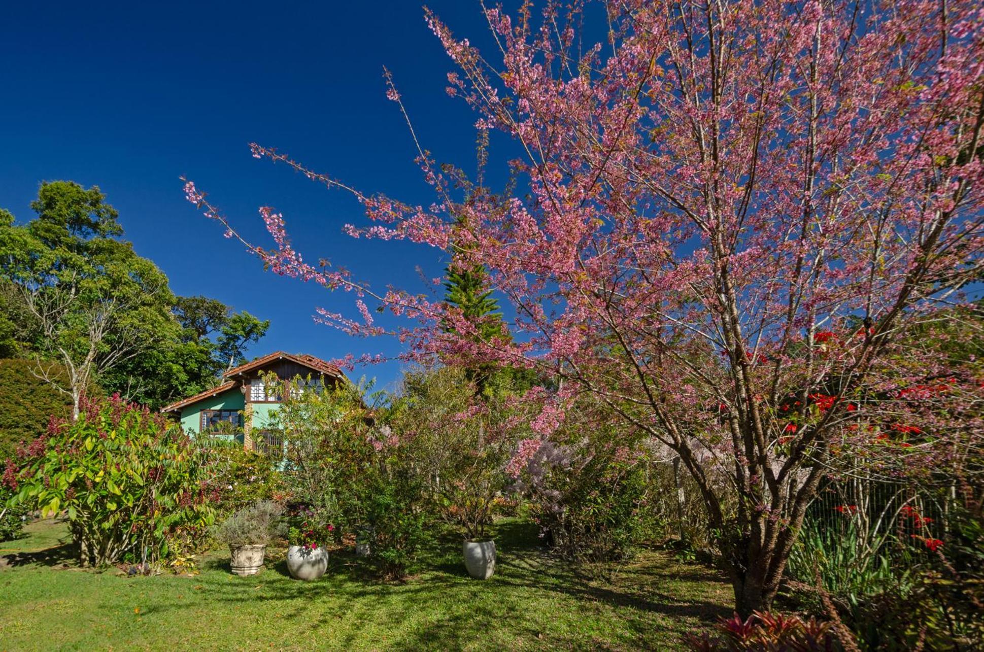 Chale Flores E Amores Chalet